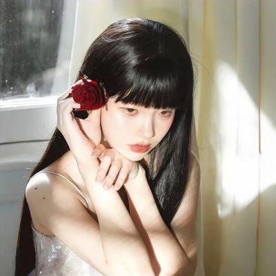 纸房子：全球热潮